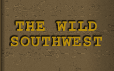 The Wild Southwest
