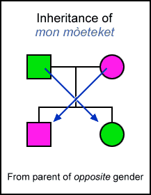 Inheritance of mon Mòet